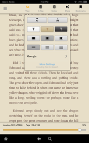 Kindle eReader - читать книжки будет удобно.