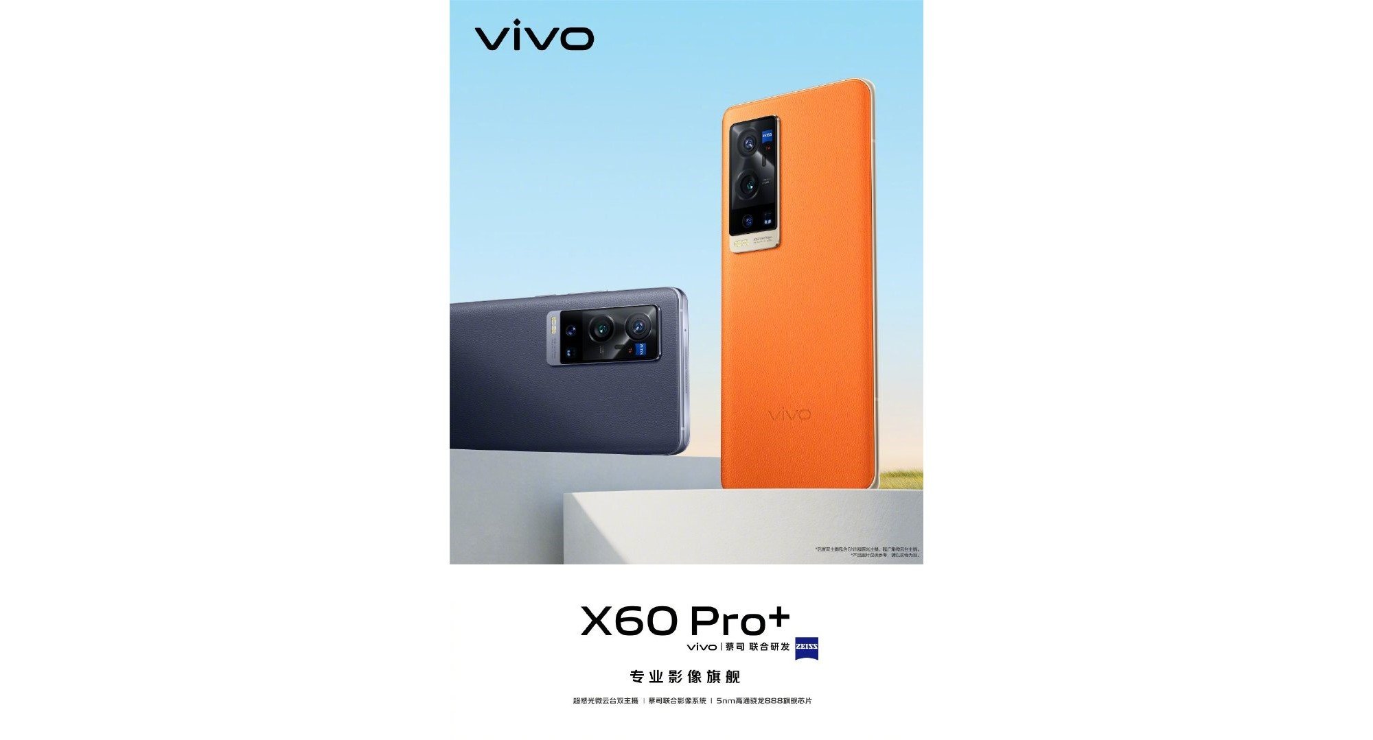 Управление в vivo project