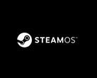 Впервые о том, что SteamOS выйдет за пределы Steam Deck, было объявлено на выставке CES 2025. (Источник изображения: @SadlyItsBradley)