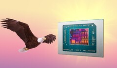 AMD Bald Eagle Point, если он не будет снят с производства, может выйти в следующем году. (Источник изображения: AMD, FlashBuddy, отредактировано)