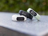 Компания Garmin выпустила новое обновление прошивки для Vivosmart 5. (Источник изображения: Garmin)