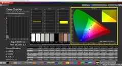 CalMAN ColorChecker (профиль: sRGB, целевое цветовое пространство: sRGB)