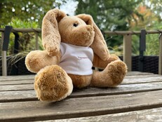 Снимок в исходном качестве