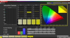 Насыщенность CalMAN (профиль: Display P3, целевое цветовое пространство: P3)