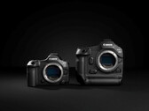 Canon EOS R5 Mark II (слева) и R1 (справа) (Источник: Canon)