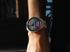 Компания Garmin уже расследует сообщения о проблемах, которые, как утверждается, затрагивают Стабильную версию 21.19. (Источник изображения: Garmin)