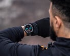 Системное программное обеспечение 11.90 для Enduro 3, Fenix E и Fenix 8 должно устранить существенную ошибку, которая существовала в более раннем программном обеспечении. (Источник изображения: Garmin)