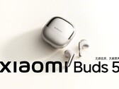 The Buds 5. (Источник: Xiaomi)