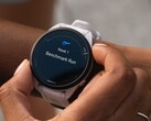 Некоторые смарт-часы Garmin Forerunner получили бета-версию обновления 21.16. (Источник изображения: Garmin)