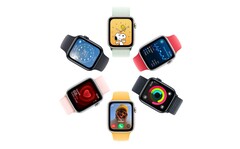 Следующий Apple Watch SE может стать для Apple Watch моментом iPhone 5c. (Источник изображения: Apple)