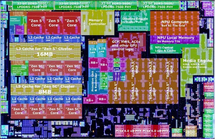 APU Strix Point от AMD - очень впечатляющий чип, но и дорогой; но наличие ядер Zen 5 и Zen 5C, мощного iGPU и NPU делает его ужасно большим. (Источник изображения: Nemez)