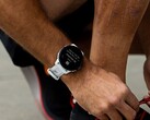 Компания Garmin выпустила бета-версию 20.21 для модели Forerunner 955. (Источник изображения: Garmin)