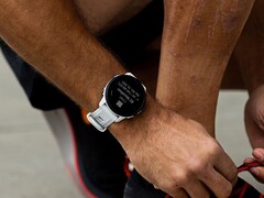 Компания Garmin выпустила бета-версию 20.21 для модели Forerunner 955. (Источник изображения: Garmin)