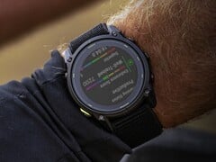 Компания Garmin выпустила бета-версию 13.31 для модели Enduro 3 и связанных с ней смарт-часов. (Источник изображения: Garmin)