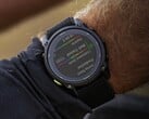 Компания Garmin выпустила бета-версию 13.31 для модели Enduro 3 и связанных с ней смарт-часов. (Источник изображения: Garmin)