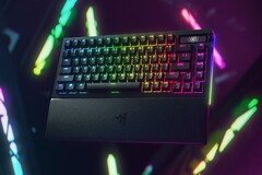 Механическая клавиатура Razer BlackWidow V4 Pro 75%. (Источник изображения: Razer)