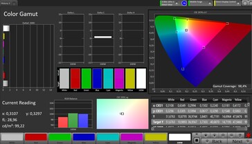 CalMAN sRGB Color Space – Режим Reference