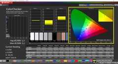 CalMAN ColorChecker (профиль: sRGB, целевое цветовое пространство: sRGB)