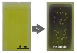Пузырьки H2 образуются в воде при солнечном свете. (Источник изображения: JAIST)
