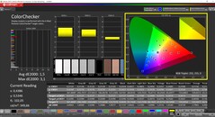 CalMAN ColorChecker (профиль: Display P3, целевое цветовое пространство: P3)