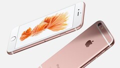 Модель 6 Plus. (Источник изображения: Apple)