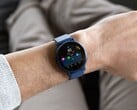 Смарт-часы Garmin Venu 3 (вверху) и vivoactive 5 обновляются. (Источник изображения: Garmin)