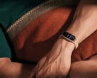 Xiaomi Smart Band 9 уже доступен во всем мире (Источник изображения: Xiaomi)