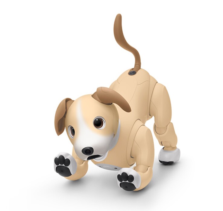 Aibo Kinako Edition - это ограниченная модель 2024 года, доступная только до тех пор, пока не закончатся запасы. (Источник изображения: Sony)