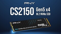 Модель CS2150. (Источник изображения: PNY)