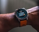 В ближайшее время Garmin планирует внести более 100 изменений в стабильное программное обеспечение Garmin. (Источник изображения: Garmin)