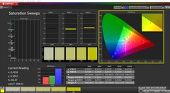 Насыщенность CalMAN (профиль: sRGB, целевое цветовое пространство: sRGB)