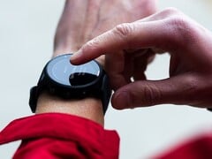 Для умных часов Garmin Forerunner 955 появилось новое бета-обновление. (Источник изображения: Garmin)