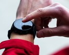 Для умных часов Garmin Forerunner 955 появилось новое бета-обновление. (Источник изображения: Garmin)