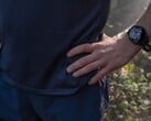 Компания Garmin выпустила версию программного обеспечения 20.29 для модели Forerunner 255. (Источник изображения: Garmin)