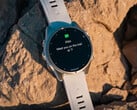 Следующее стабильное обновление Garmin для Fenix 8 и других моделей должно быть значительным. (Источник изображения: Garmin)