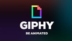 Giphy сотрудничает с TikTok. (Источник изображения: Giphy)