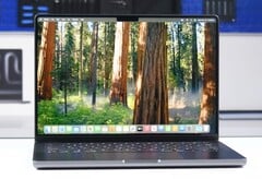 Кроме Apple M4 Pro, MacBook Pro почти не предлагает ничего нового внутри. (Источник изображения: iFixit)