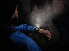 Компания Garmin утверждает, что устранила проблему, которая была поставлена вместе со стабильным обновлением этого месяца. (Источник изображения: Garmin)