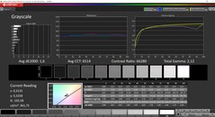 CalMAN grayscale (профиль: Display P3, целевое цветовое пространство: P3)