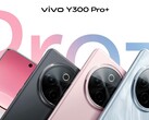 Модель "Y300 Pro+". (Источник изображения: Sandwich Sister через Weibo)