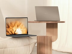 Zenbook A14 выпускается в цветовых вариантах Iceland Grey и Zebriskie Beige. (Источник изображения: Asus)