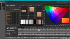 ColorChecker (P3)