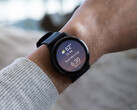 Компания Garmin пока не сообщила, когда обновления v11 достигнут стабильного статуса. (Источник изображения: Garmin)