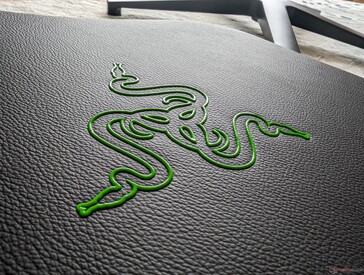 Классический логотип Razer на спинке. Если зеленый цвет слишком "геймерский", то черный вариант будет более офисным