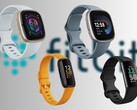 Смарт-часы и фитнес-трекеры Fitbit часто наследуют технологию от более дорогих часов Pixel Watches (Источник изображения: Fitbit - ред.)