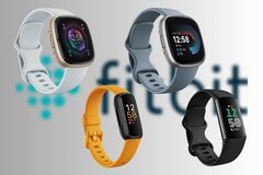 Смарт-часы и фитнес-трекеры Fitbit часто наследуют технологию от более дорогих часов Pixel Watches (Источник изображения: Fitbit - ред.)