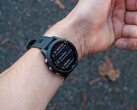 Компания Garmin выпустила обновление версии 20.26 для модели Forerunner 255. (Источник изображения: Garmin)