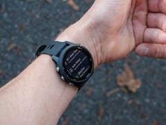 Компания Garmin выпустила обновление версии 20.26 для модели Forerunner 255. (Источник изображения: Garmin)