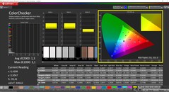 CalMAN ColorChecker (профиль: sRGB: целевое цветовое пространство: sRGB)