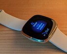 Fitbit Sense и Versa 3 могут перегреваться (Источник изображения: Inge Schwabe)